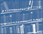 Updates Archive